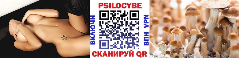 Галлюциногенные грибы Magic Shrooms hydra маркетплейс Домодедово