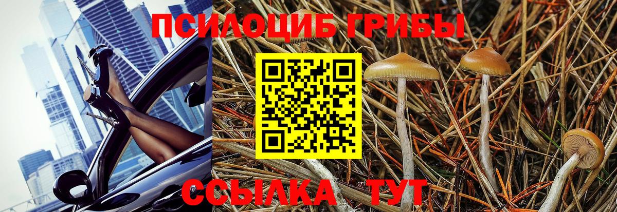 Галлюциногенные грибы ЛСД Домодедово